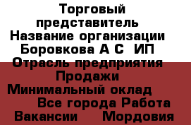 Торговый представитель › Название организации ­ Боровкова А.С, ИП › Отрасль предприятия ­ Продажи › Минимальный оклад ­ 28 000 - Все города Работа » Вакансии   . Мордовия респ.